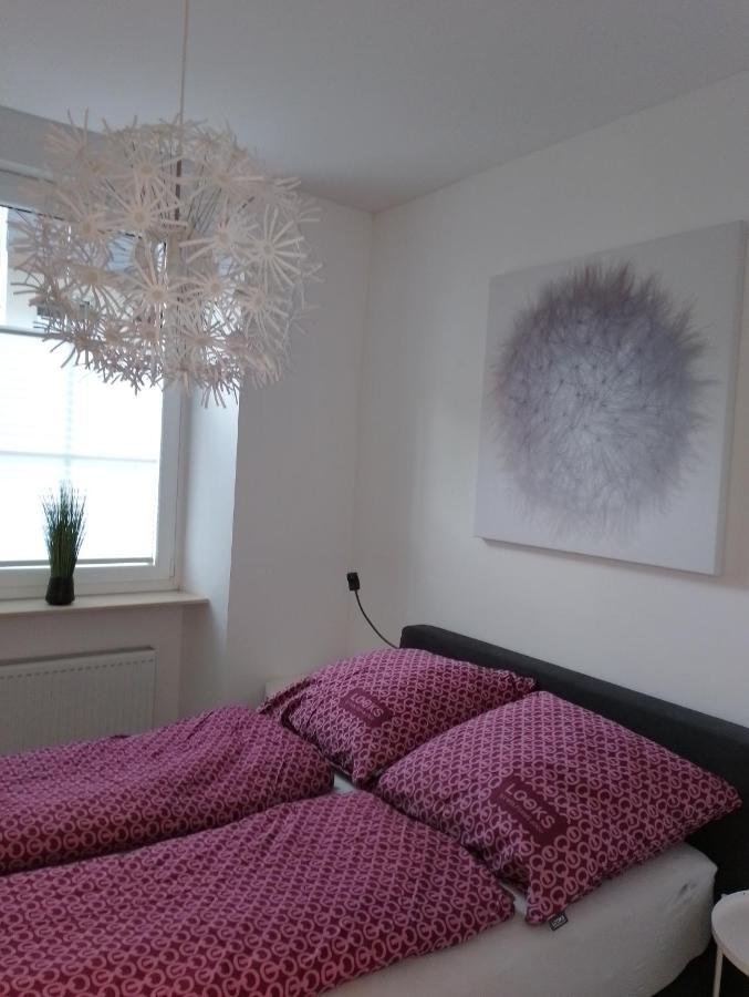 Ferienwohnung Am Geysirzentrum 安德纳赫 外观 照片
