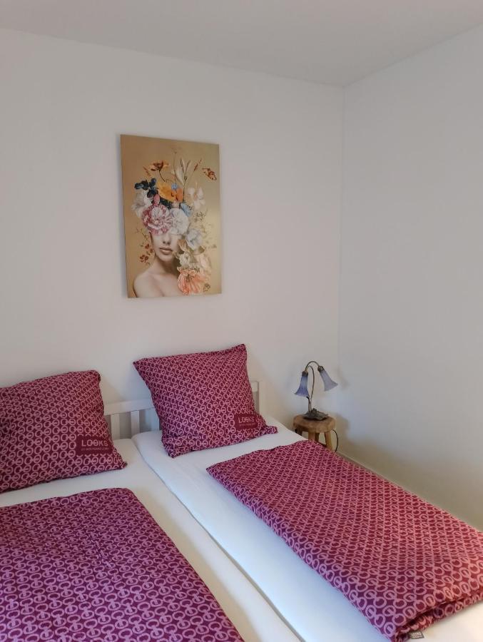 Ferienwohnung Am Geysirzentrum 安德纳赫 外观 照片