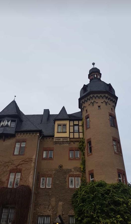 Ferienwohnung Am Geysirzentrum 安德纳赫 外观 照片