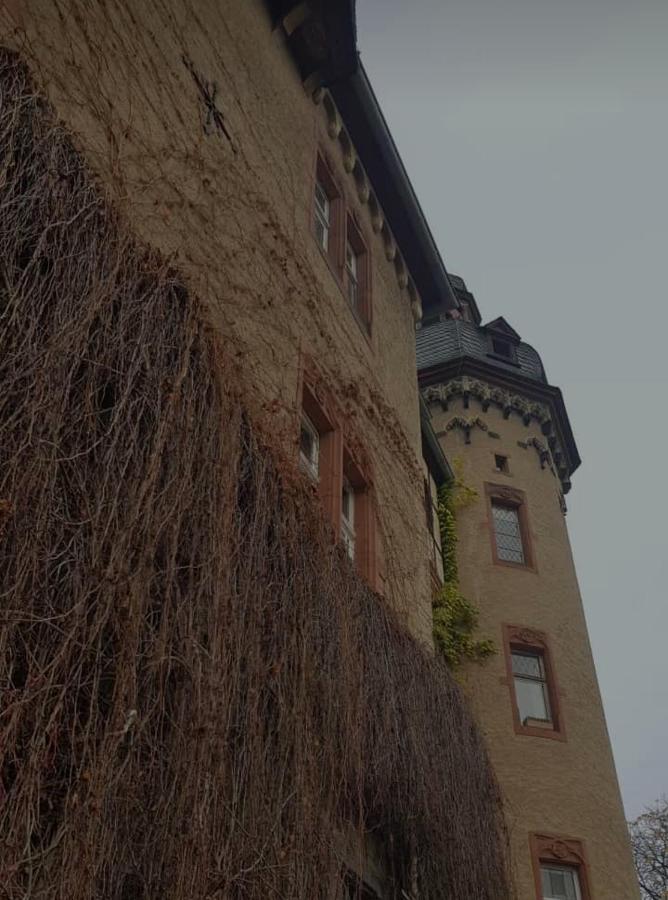 Ferienwohnung Am Geysirzentrum 安德纳赫 外观 照片